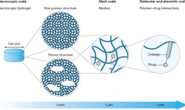 Drug-Loaded Hydrogels – Local Chemotherapy Delivery in Bone Tumor Management
