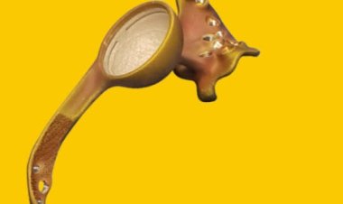 HyProtect Antimicrobial Plasma Coating & Phage Therapy