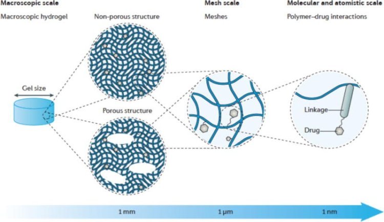 Drug-Loaded Hydrogels - Local Chemotherapy Delivery in Bone Tumor Management